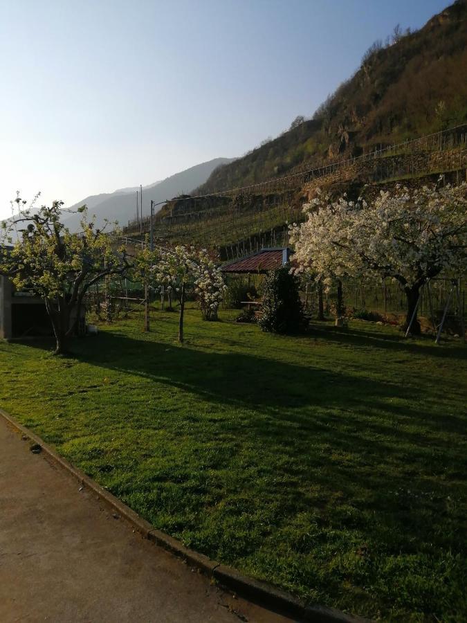 Casa Vacanze La Ca Del Cunfec Sondrio Exterior photo